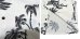 画像11: Eight-G（エイトＧ） “EVERLASTING SUMMER PALMTREE”半袖 アロハシャツ 8AS-09 (11)