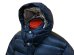画像17: Eight-G（エイトＧ） "NYLON DOWN JACKET"  (17)