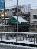 画像: 雪～