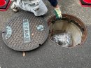 画像: 防災訓練
