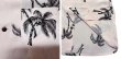 画像4: Eight-G（エイトＧ） “EVERLASTING SUMMER PALMTREE”半袖 アロハシャツ 8AS-09