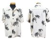 画像9: Eight-G（エイトＧ） “EVERLASTING SUMMER PALMTREE”半袖 アロハシャツ 8AS-09